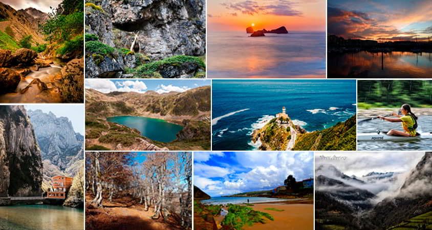 Collage de las fotografías ganadoras del concurso.