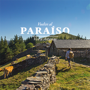 Creatividad de Camino de Santiago