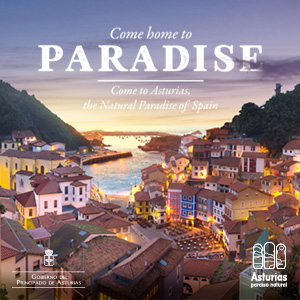 Cartel de la campaña internacional