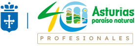 Logo Turismo Asturias Profesional