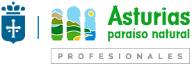 Logo Turismo Asturias Profesional