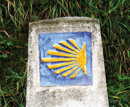 Camino de santiago