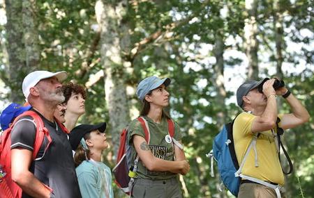 Imagen Terix Biointerpretación