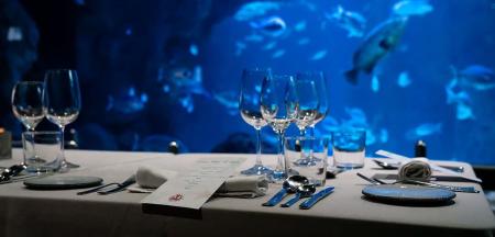 Imagen BIOPARC Gijón Aquarium