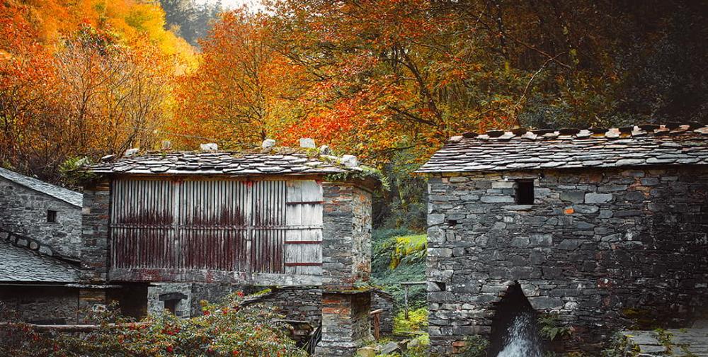 Go to Image El Gobierno de Asturias invierte 100.000 euros  en Taramundi para proyectos de mejora de la  Reserva de la Biosfera Oscos-Eo