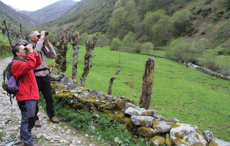 Ir a Imagen El Plan de Desarrollo Ecoturístico de Fuentes del Narcea ve la luz y se presenta a entidades y empresarios