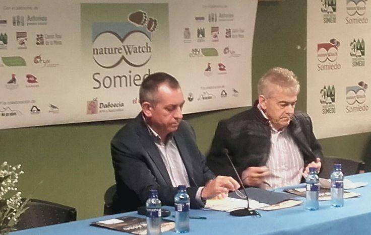 Go to Image Medio Ambiente ultima la regulación de las actividades de observación de oso en Asturias