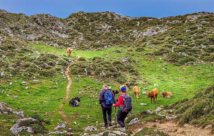 Ir a Imagen Asturias supera los dos millones de turistas y los cinco de estancias hasta septiembre, las cifras más altas registradas para ese período